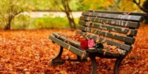 Leggi tutto: Ricette per l'autunno