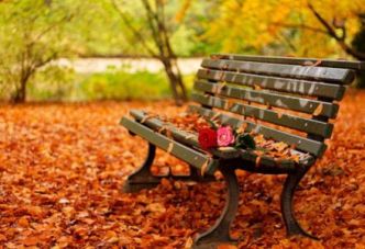 Ricette per l'autunno