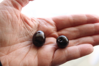 Olive nere sott'olio